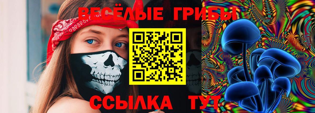 Галлюциногенные грибы Psilocybine cubensis  Вход с VPN  Ноябрьск 